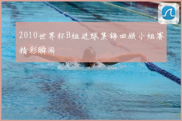 2010世界杯B组进球集锦回顾小组赛精彩瞬间